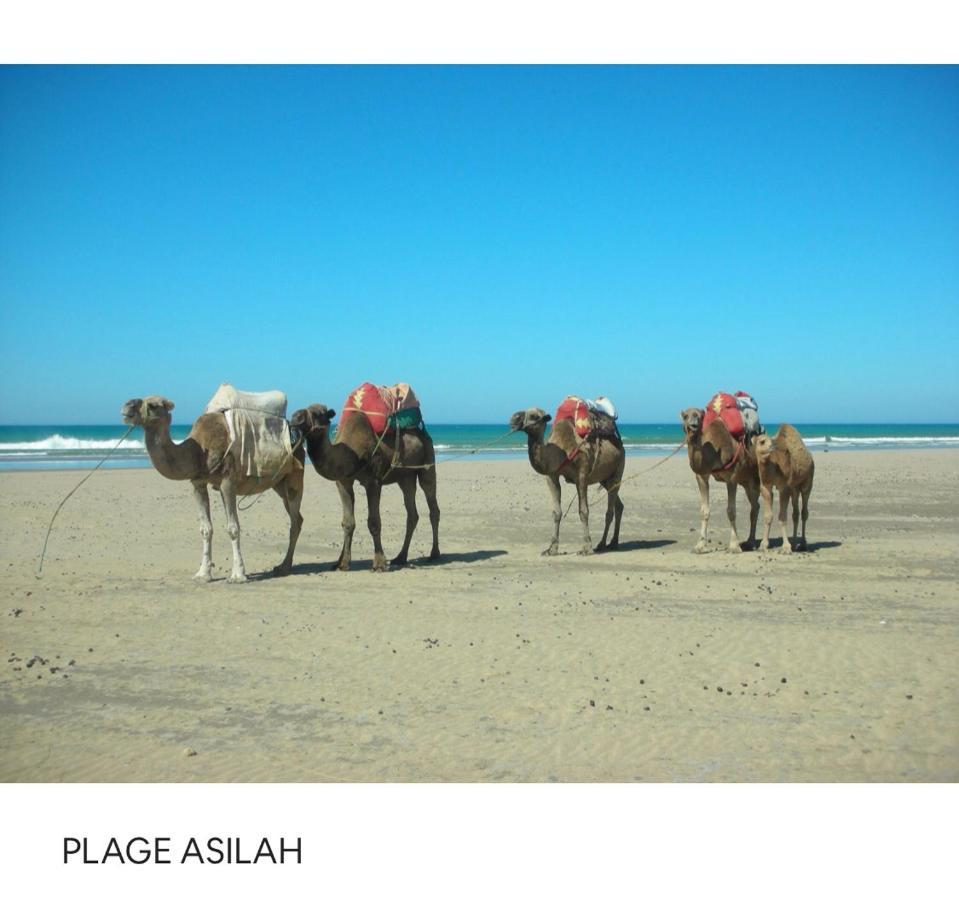 Tanger/Asilah: Appart 50M2 Face Mer Et Piscines, 5 Places, Tout Equipe+Wifi+Clim Appartement Briech Buitenkant foto